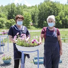 . Автор - Юлия Герман