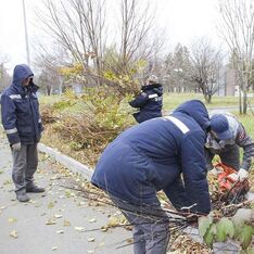 . Автор - Анжела Алексеенко