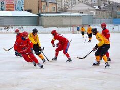 . Автор - Роман Гришенков
