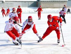 . Автор - Роман Гришенков