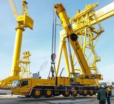 . Автор - Марина Новоселова