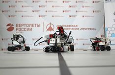 . Автор - Елена Кулеба