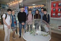 . Автор - Анжела Алексеенко